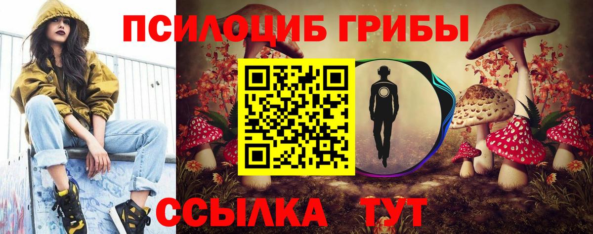 Галлюциногенные грибы мухоморы Югорск